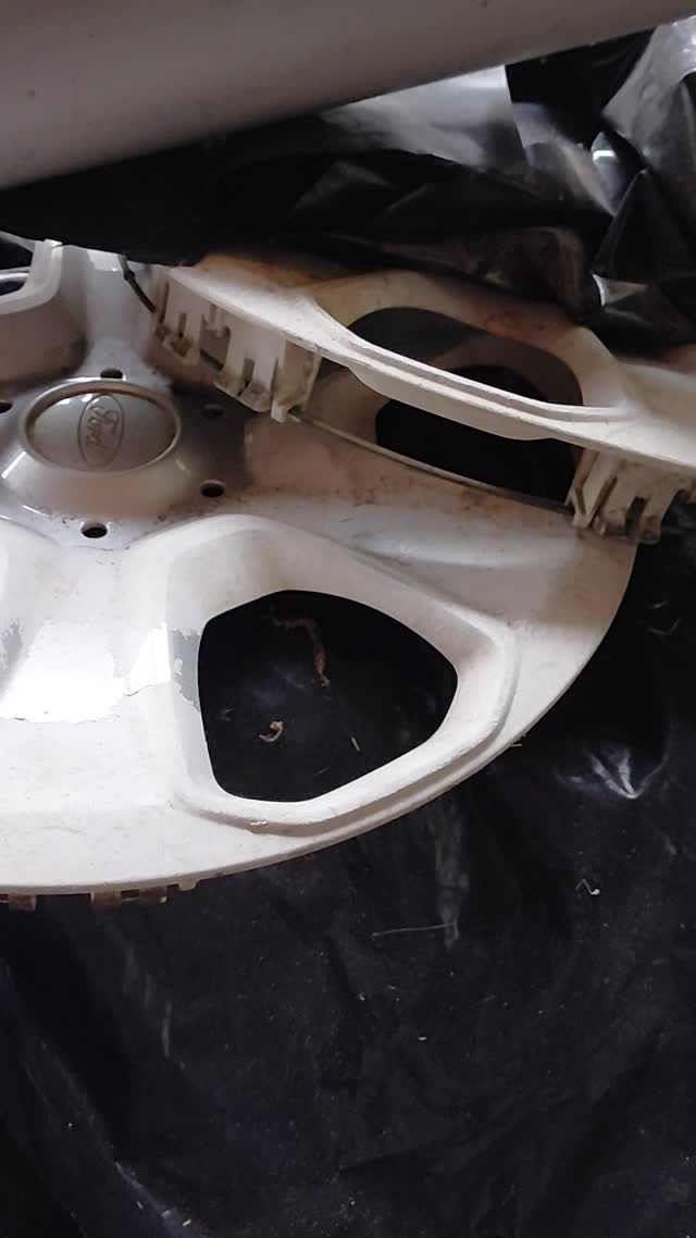 Wheels / wheel trims for the Fiesta